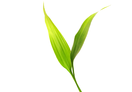 深圳智慧教育為現代化教育指引前進方向